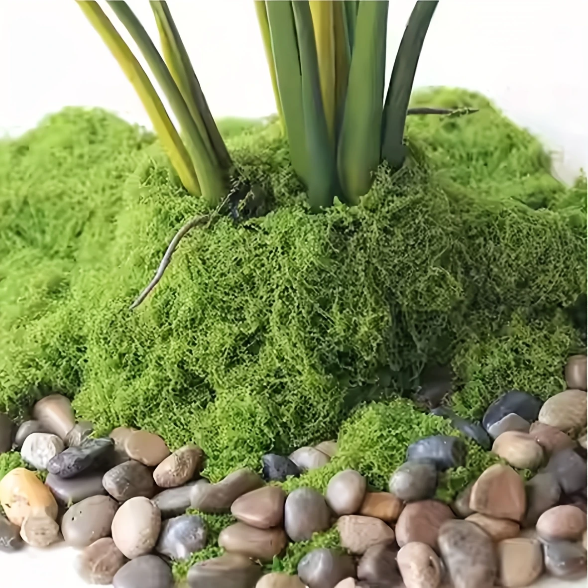 Sphagnum Moss Dry - 50g Fake Moss DIY Crafts Grass