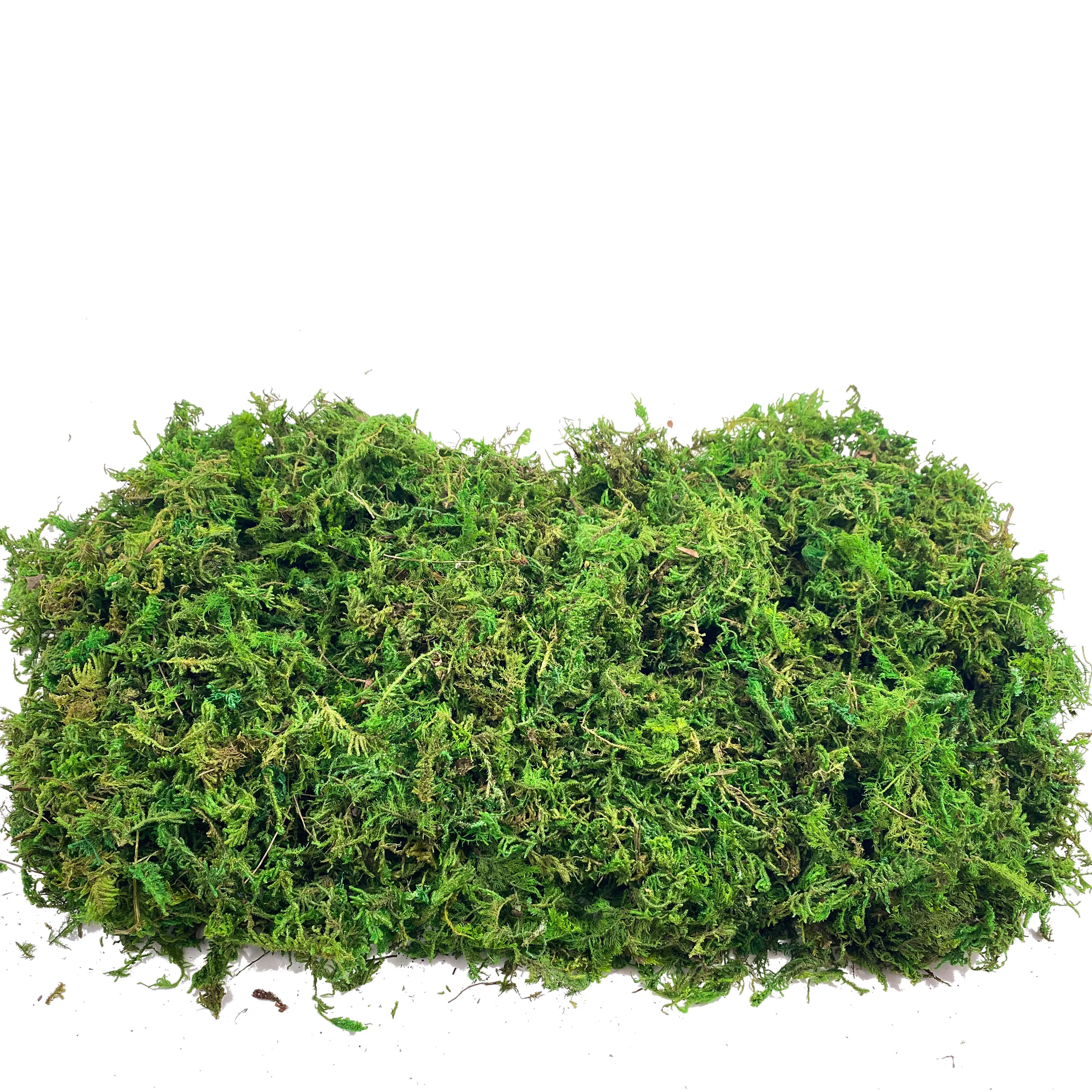 Sphagnum Moss Dry - Fake Moss Artificial Moss for Potted