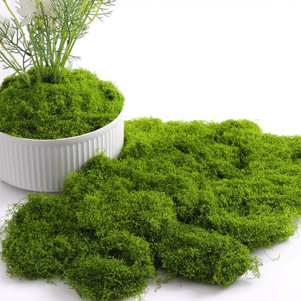 Eternal Life Moss DIY Crafts G - огляд і ціна Sphagnum Moss Dry