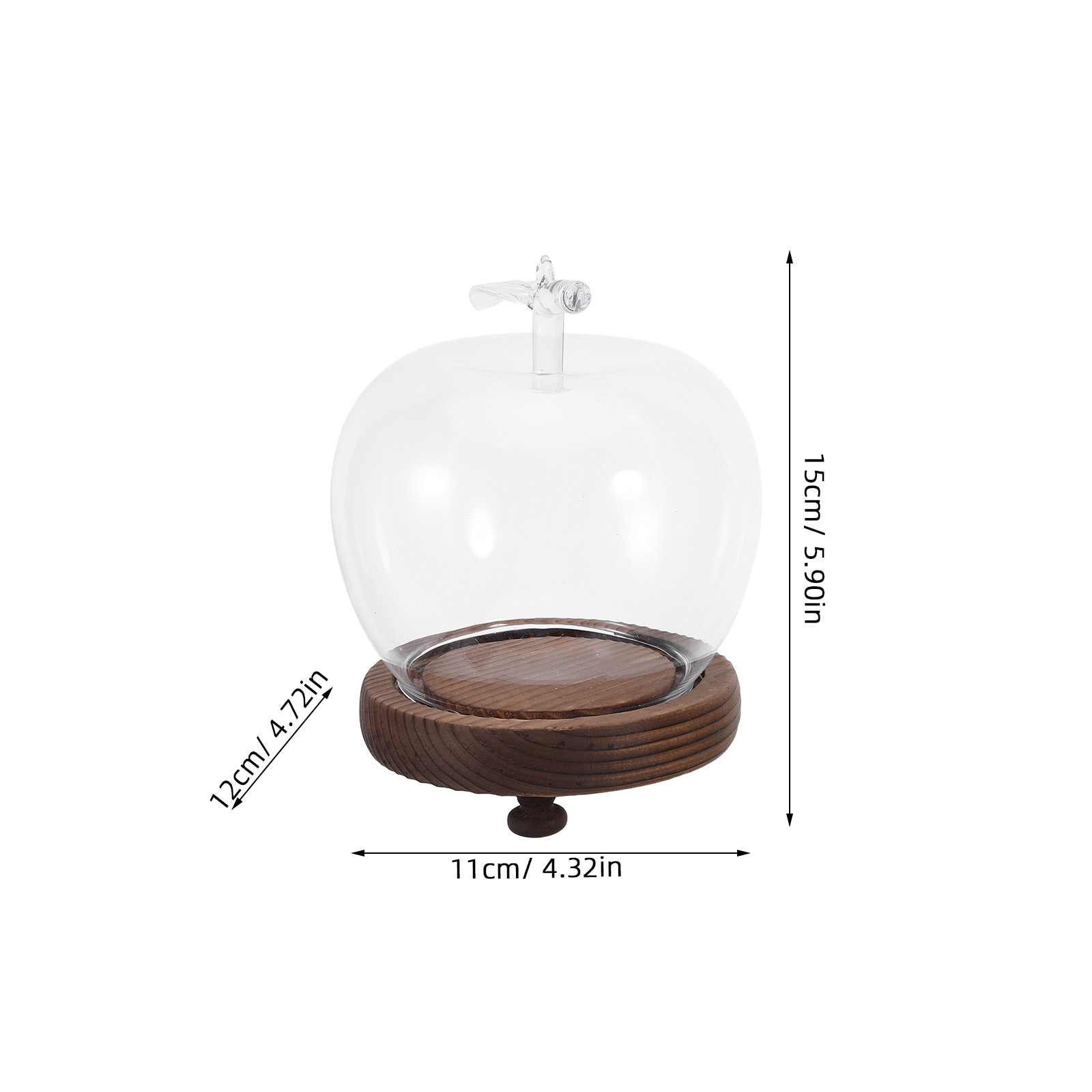Decorative Glass Dome with Sol - огляд і ціна Plastic Dome Clear