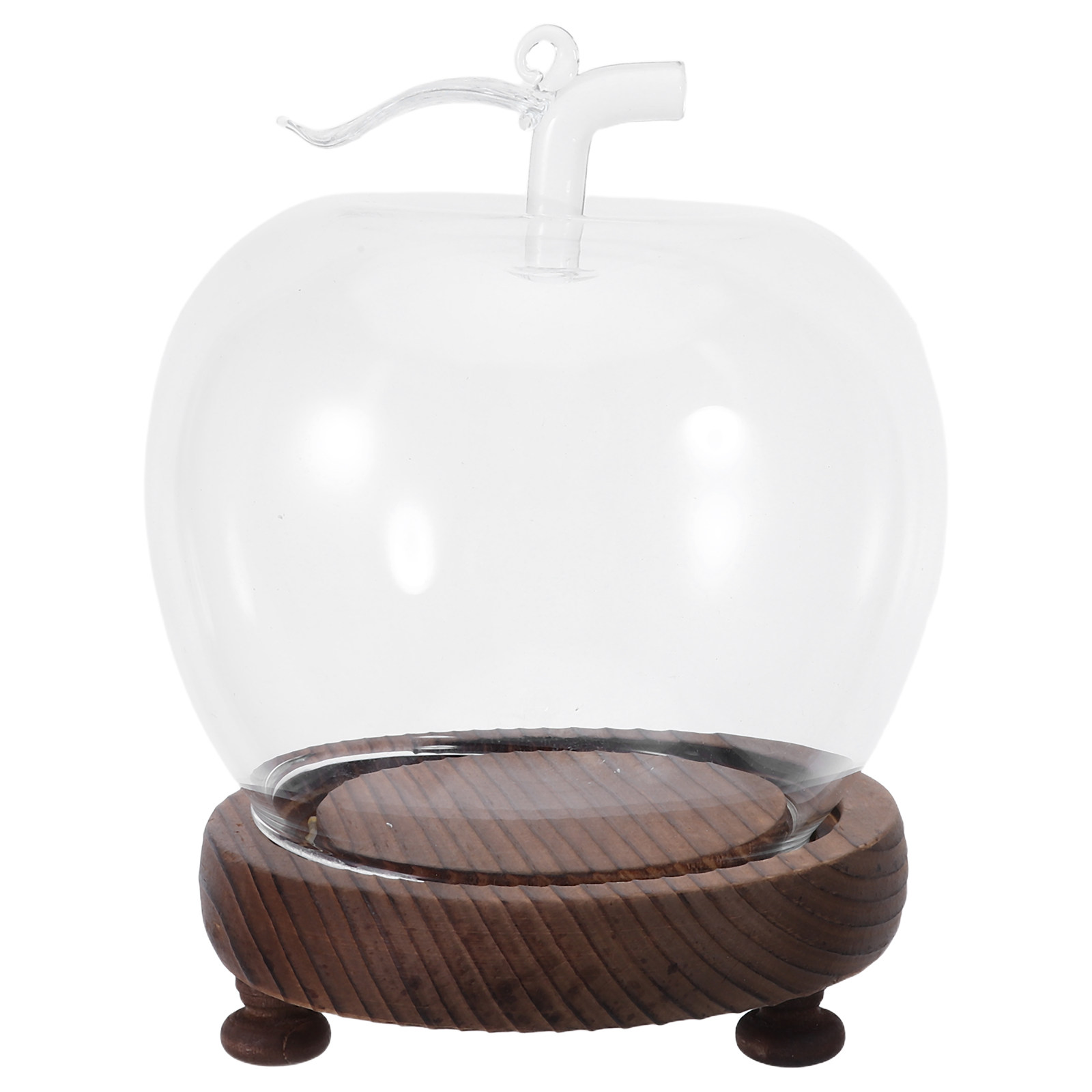 Decorative Glass Dome with Sol - огляд і ціна Plastic Dome Clear
