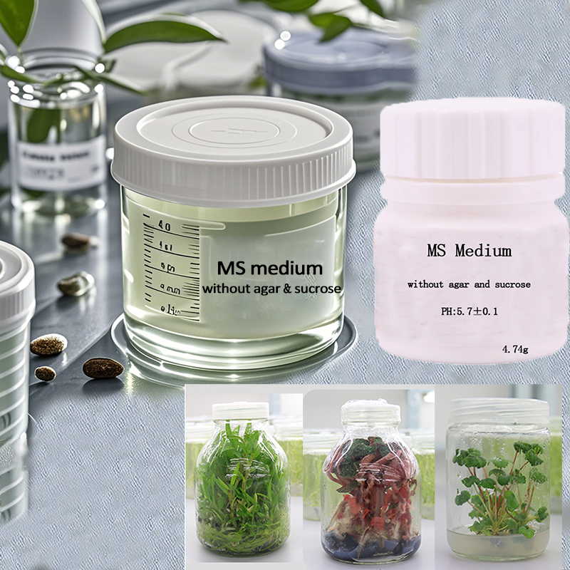 MS medium Without Agar Or Sucr - огляд і ціна Agar Tissue Culture