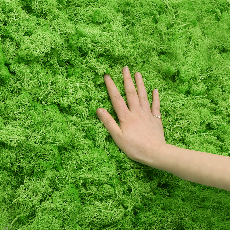 20/40g Artificial Green Plants - огляд і ціна Sphagnum Moss Dry