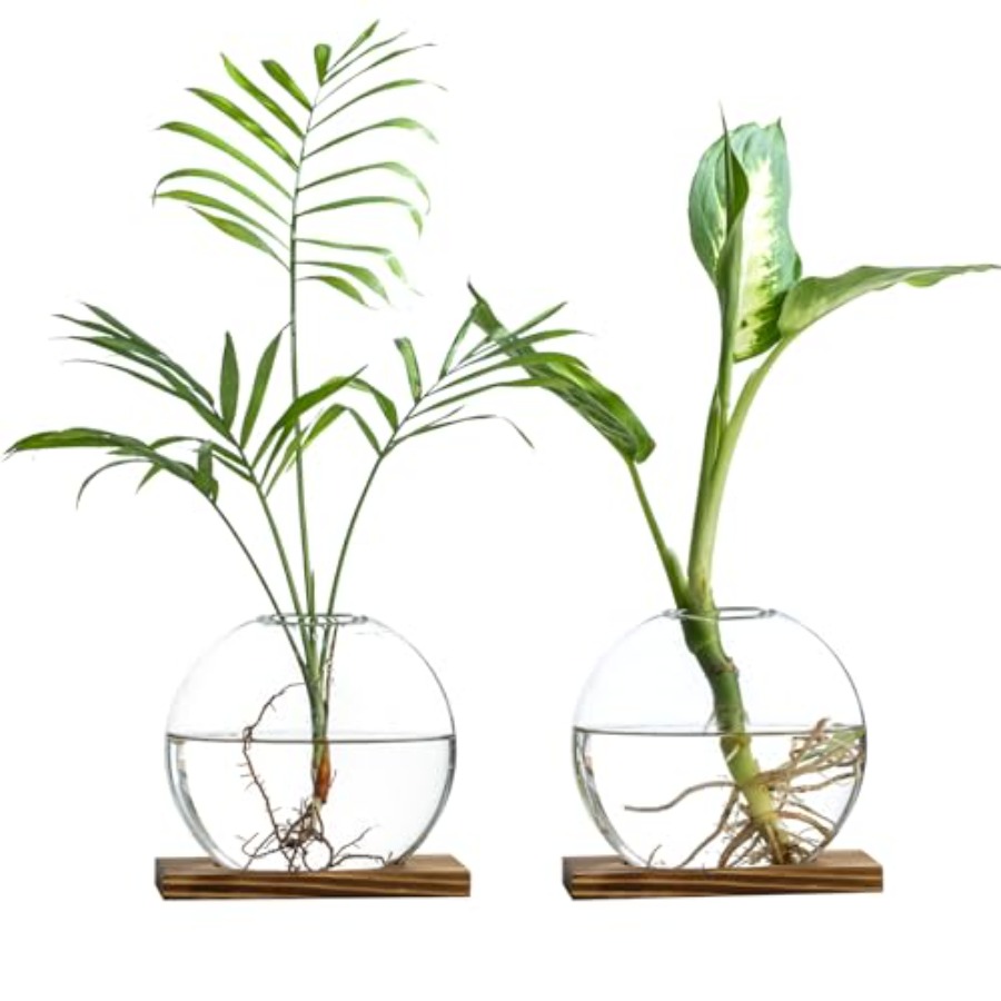 Glass Planter Propagation Stat - огляд і ціна Propagation Station Vase