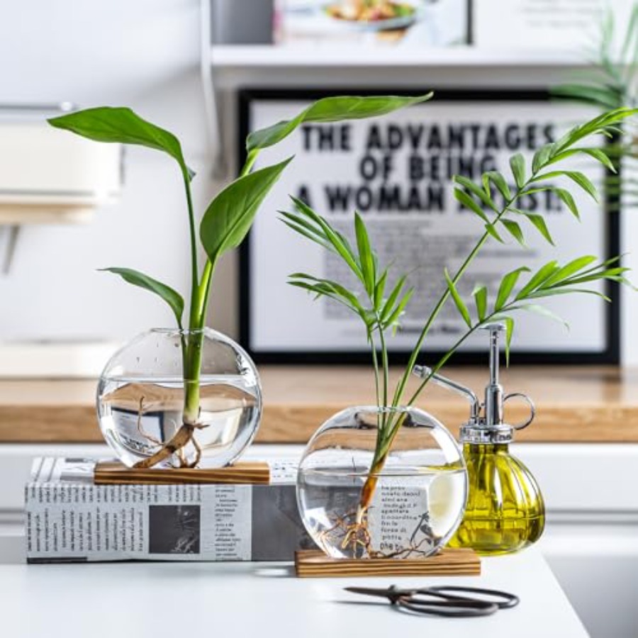 Glass Planter Propagation Stat - огляд і ціна Propagation Station Vase