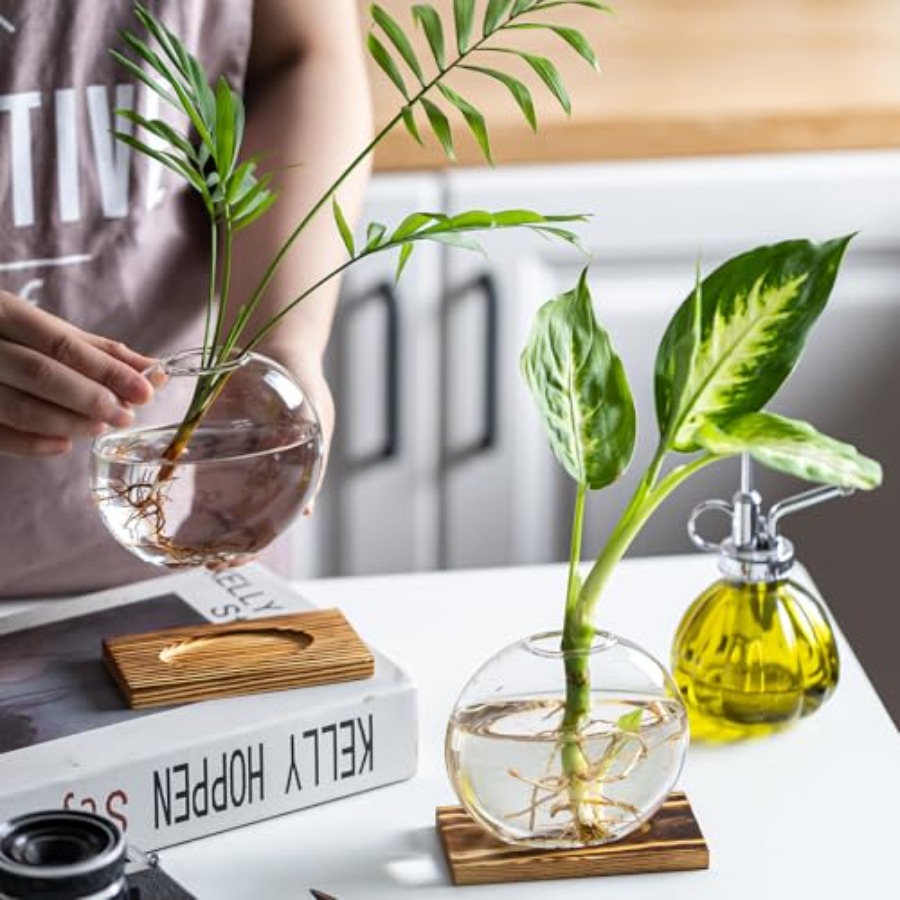 Glass Planter Propagation Stat - огляд і ціна Propagation Station Vase