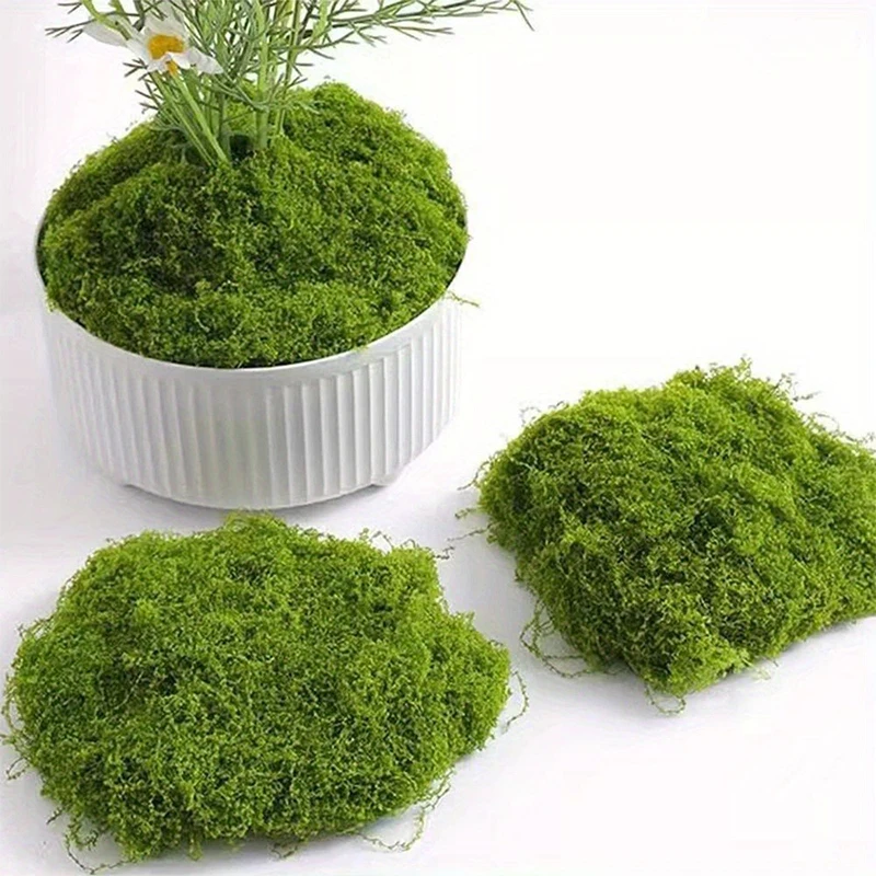 1 \ 5 \ 8 pcs artificial simul - огляд і ціна Sphagnum Moss Dry