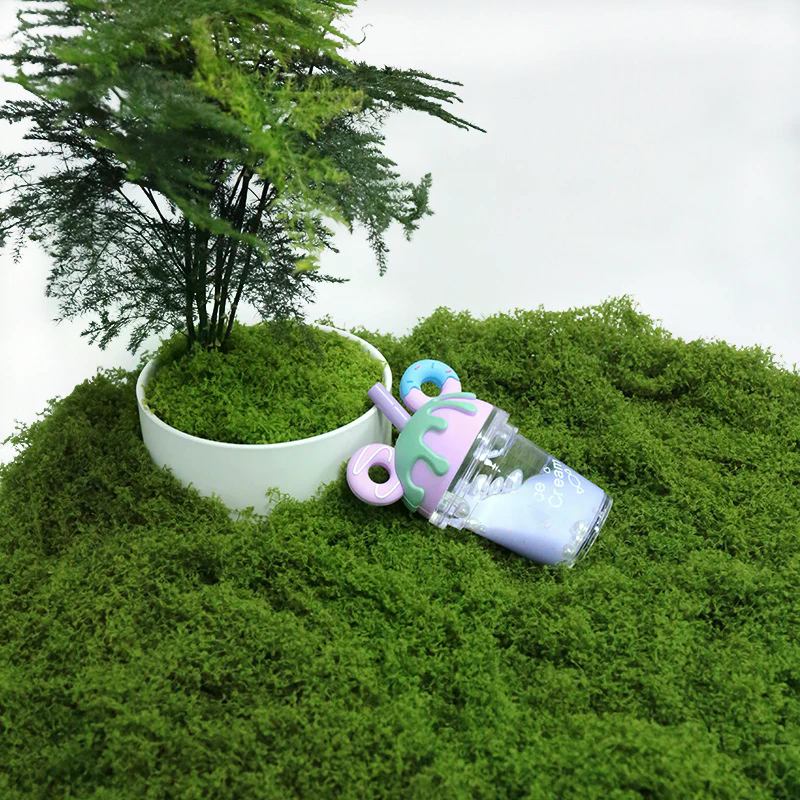50g Fake Moss DIY Crafts Grass - огляд і ціна Sphagnum Moss Dry