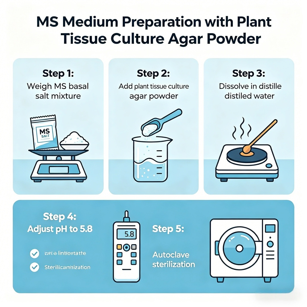 High Gel Strength Plant Tissue - огляд і ціна Agar Tissue Culture