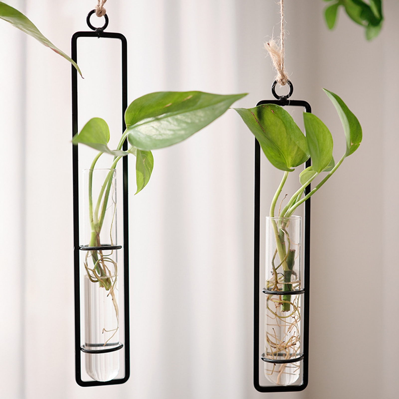 Wall Hanging Glass Vase Europe - огляд і ціна Propagation Station Vase