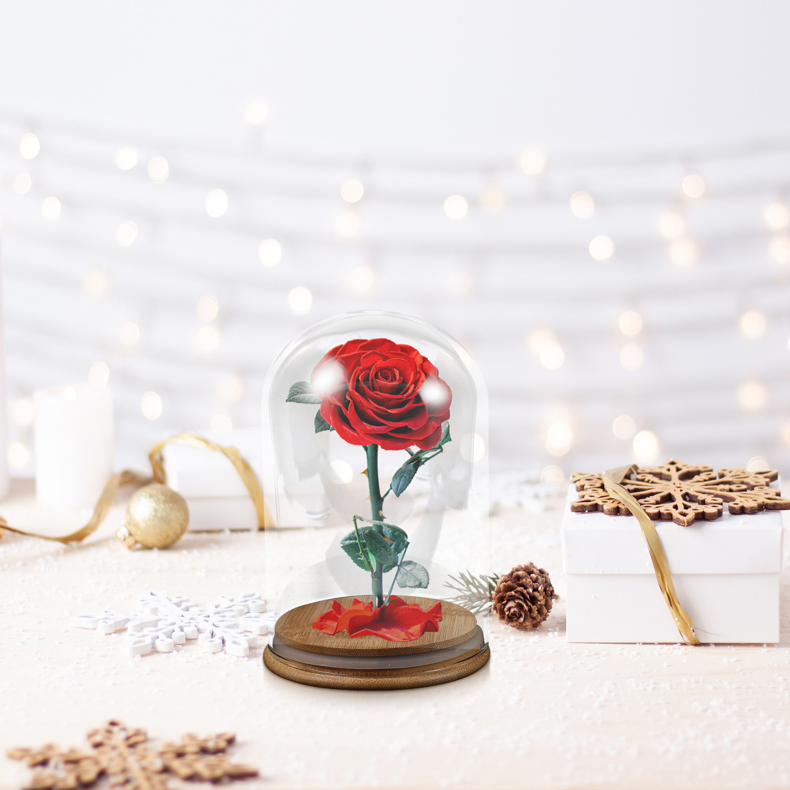 Glass Cloche Display Dome Bell - огляд і ціна Plastic Dome Clear