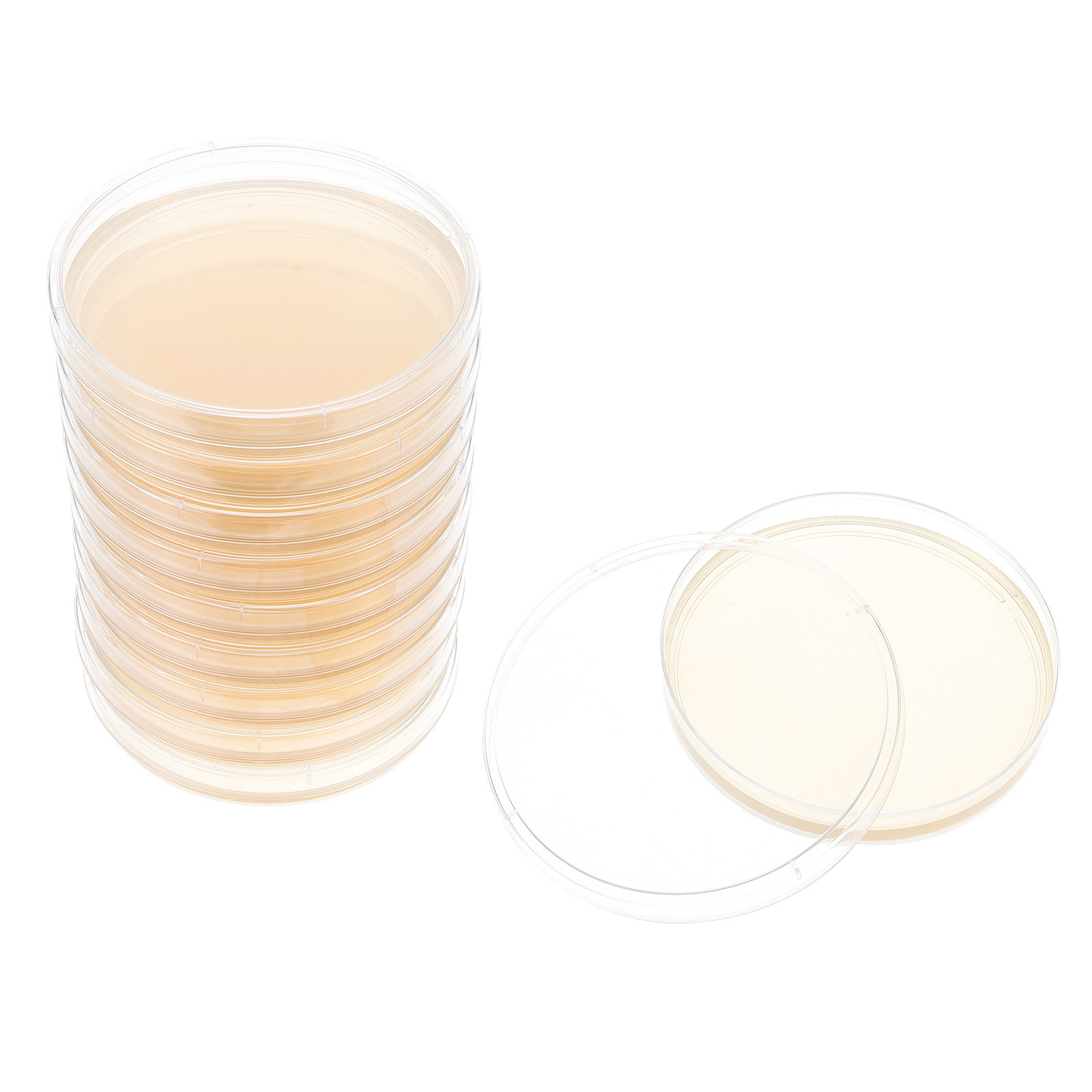 10pcs Nutrient Agar Plates Pre - огляд і ціна Agar Tissue Culture