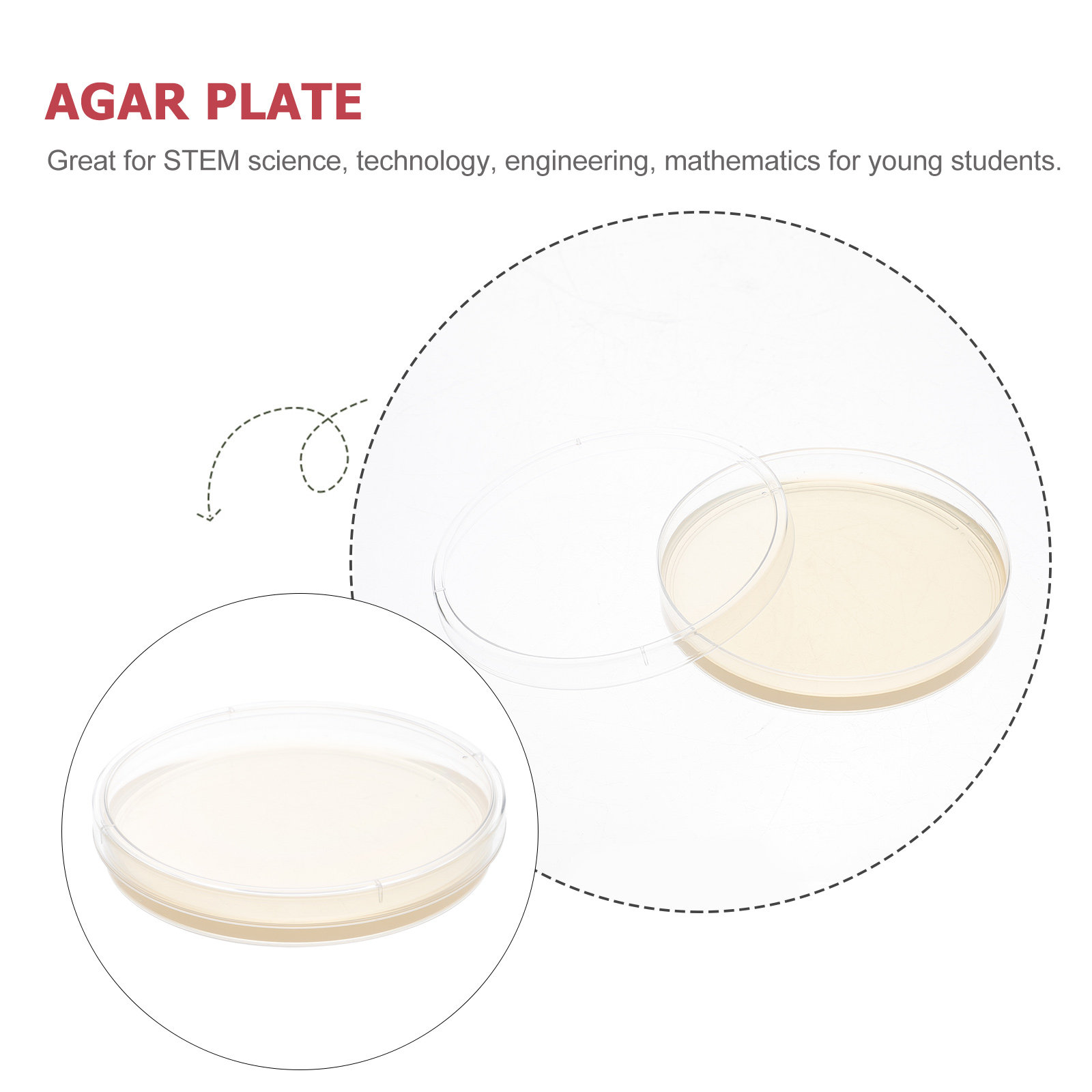 10pcs Nutrient Agar Plates Pre - огляд і ціна Agar Tissue Culture