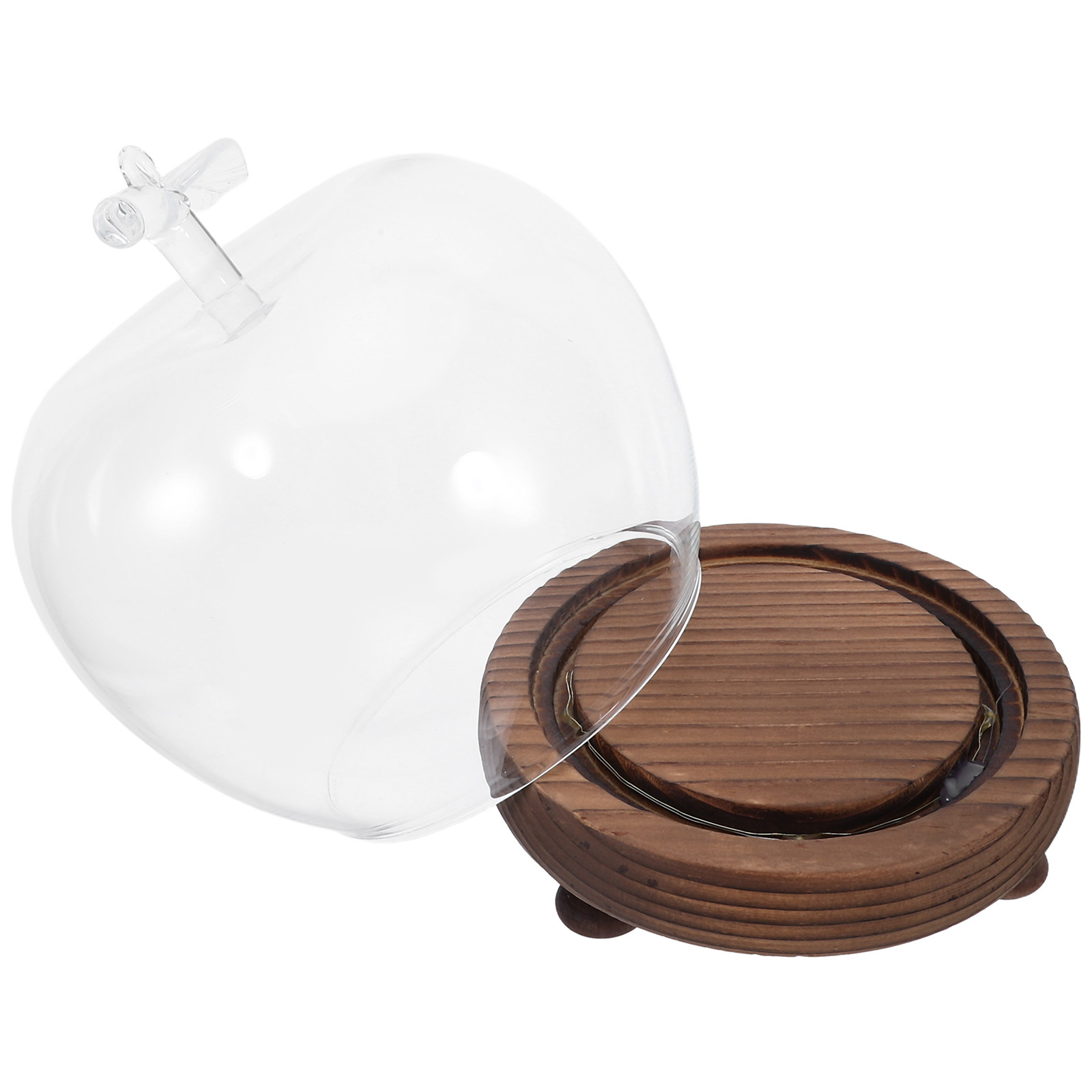 Clear Glass Dome Display with  - огляд і ціна Plastic Dome Clear
