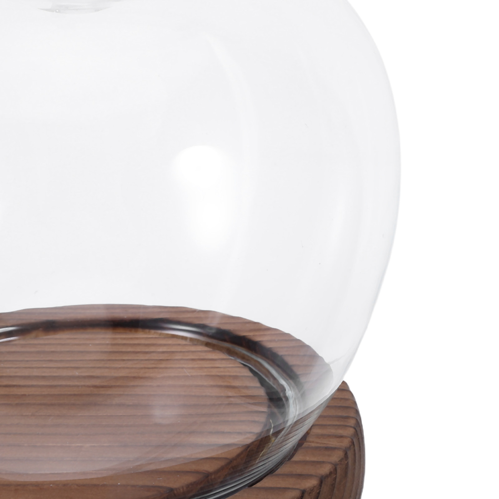 Clear Glass Dome Display with  - огляд і ціна Plastic Dome Clear