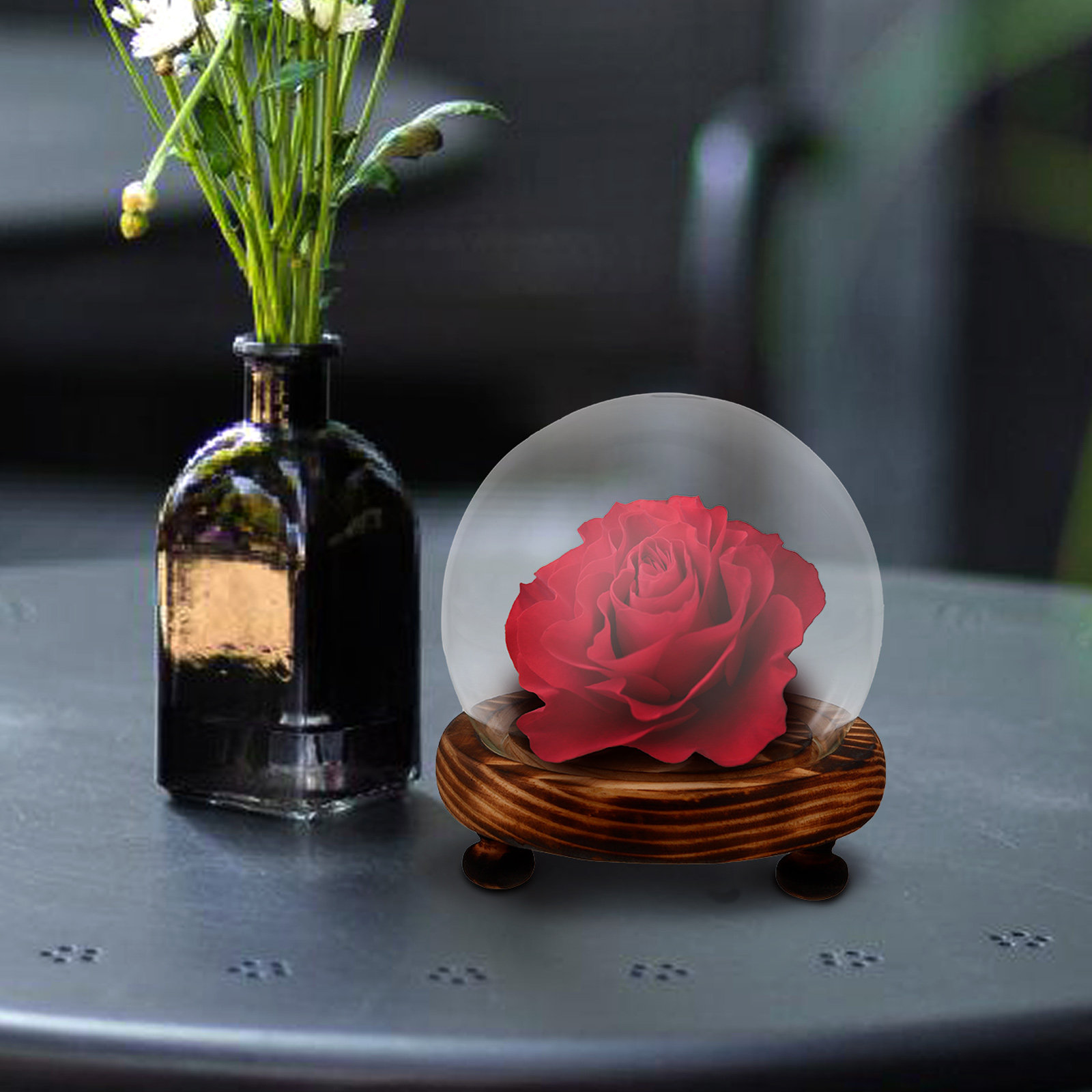 Glass Dome Display Case with W - огляд і ціна Plastic Dome Clear
