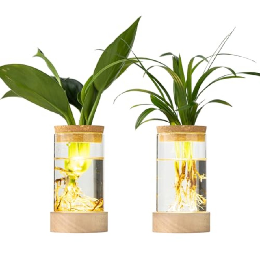 Glass Plant Propagation Statio - огляд і ціна Propagation Station Vase