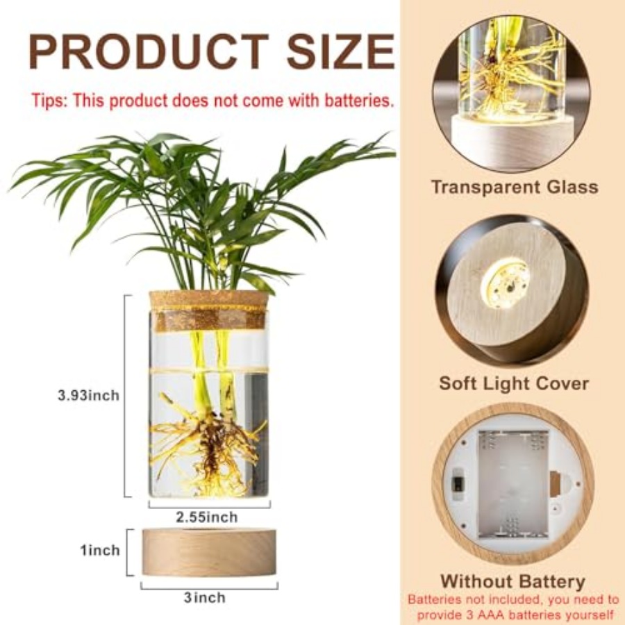 Glass Plant Propagation Statio - огляд і ціна Propagation Station Vase
