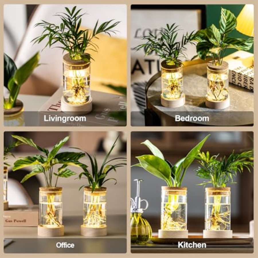 Glass Plant Propagation Statio - огляд і ціна Propagation Station Vase