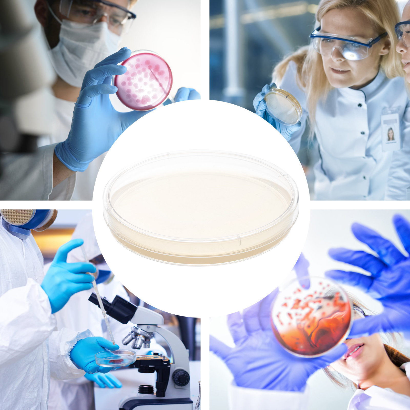 10pcs Nutrient Agar Plates Pre - огляд і ціна Agar Tissue Culture