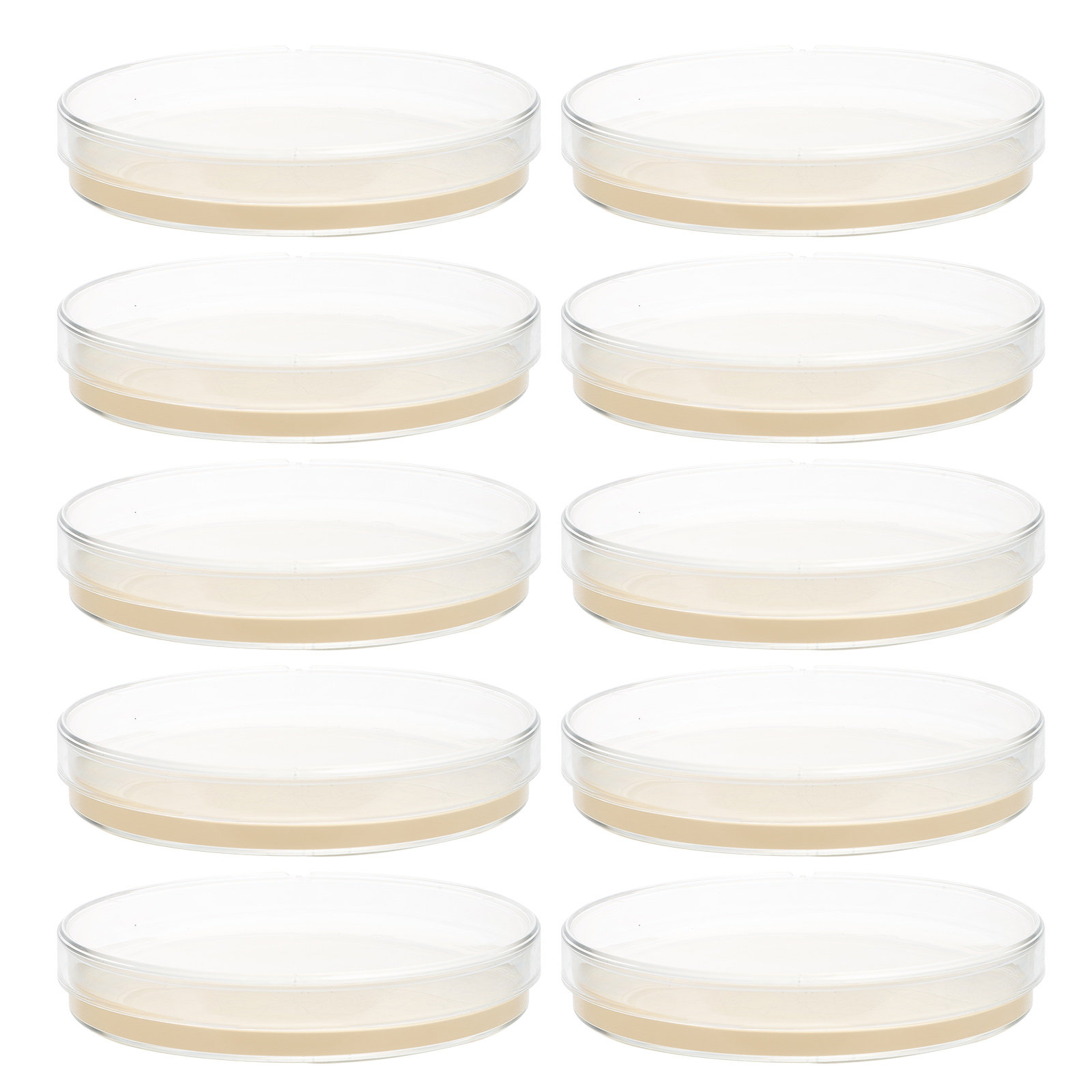 10pcs Nutrient Agar Plates Pre - огляд і ціна Agar Tissue Culture
