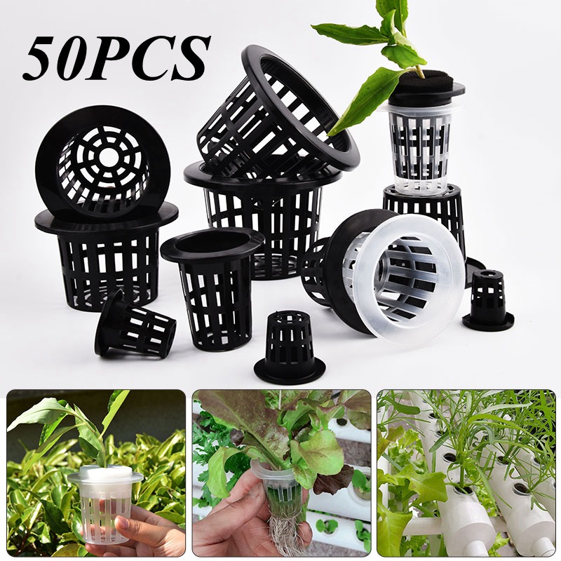 50Pcs Black White Soilless Mes - огляд і ціна Self Watering Insert