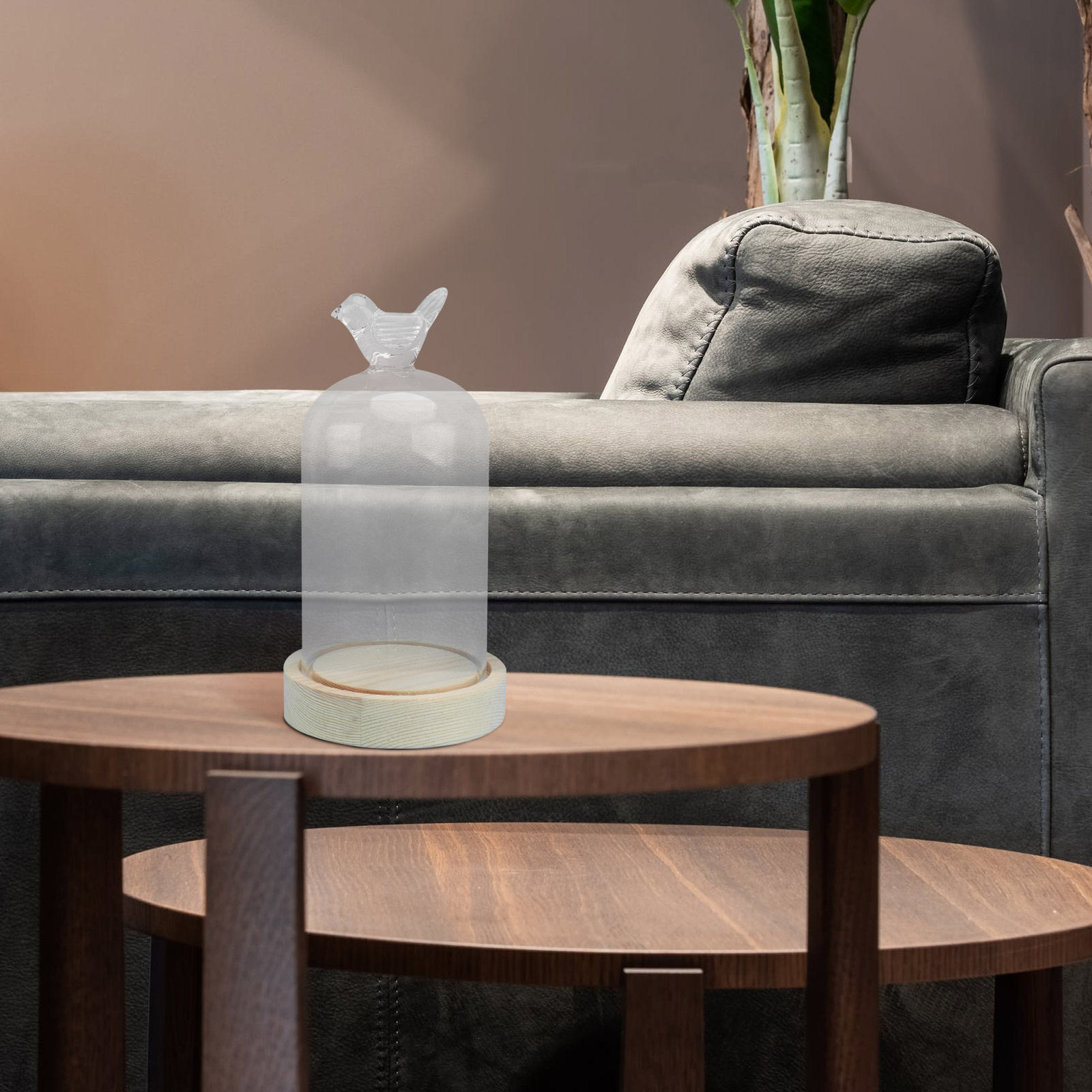 1Pcs Glass Display Cover Clear - огляд і ціна Plastic Dome Clear