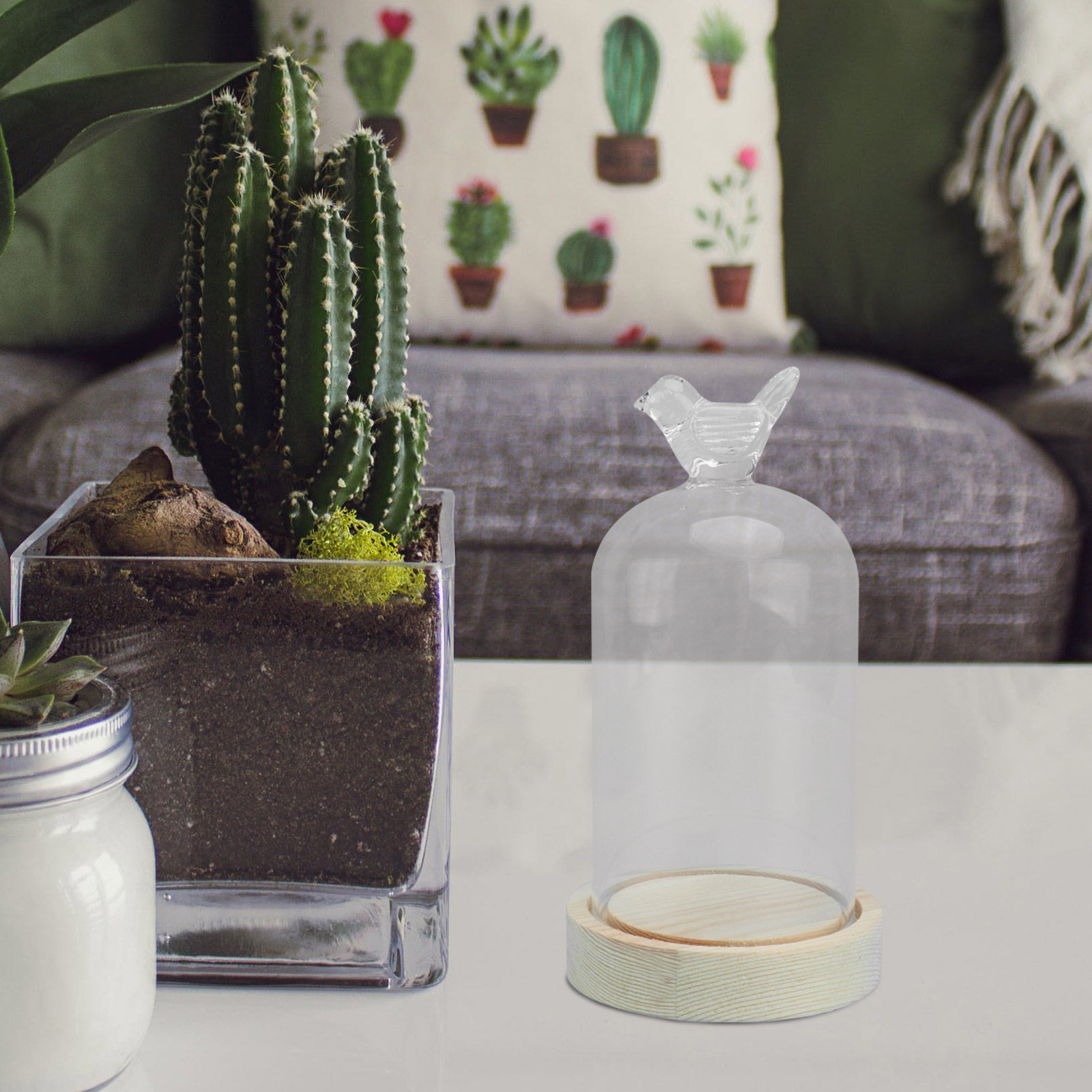 1Pcs Glass Display Cover Clear - огляд і ціна Plastic Dome Clear
