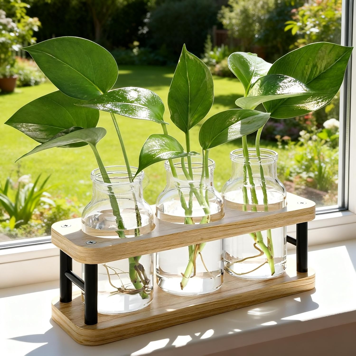 Propagation Station with Woode - огляд і ціна Propagation Station Vase