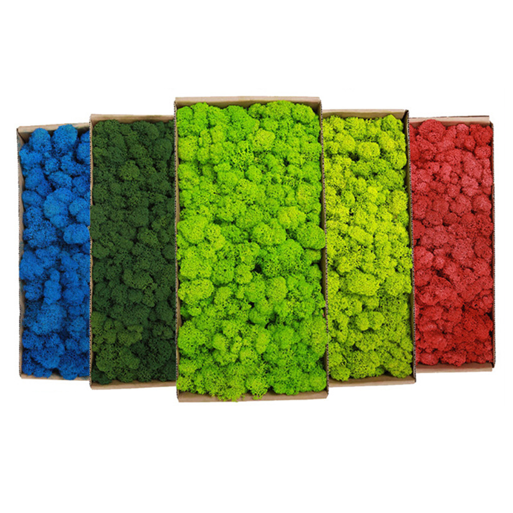 200g Artificial Green Plants M - огляд і ціна Sphagnum Moss Dry