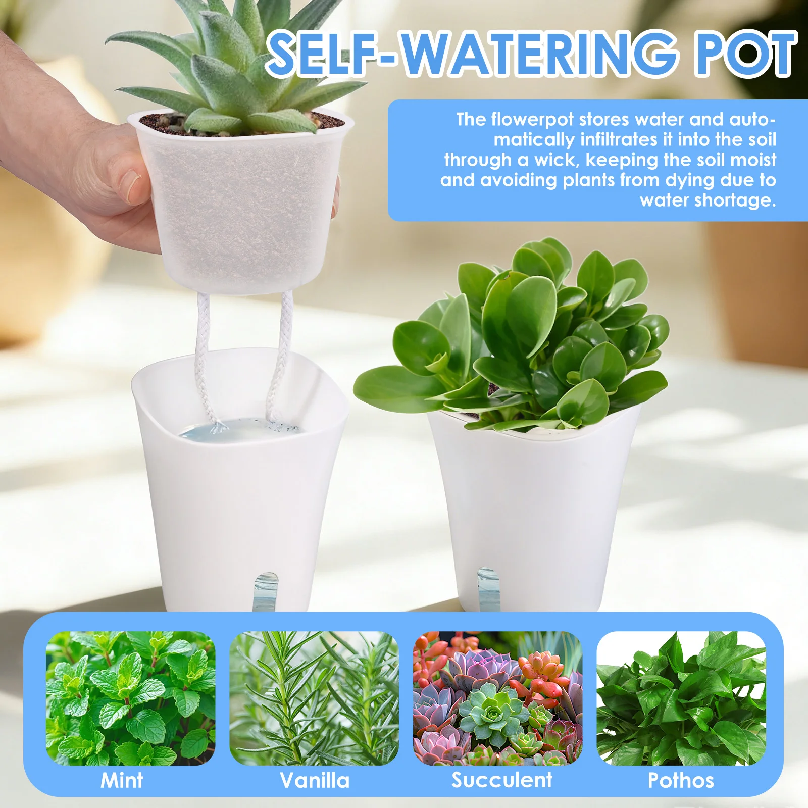10 Pcs Self Watering Planter L - огляд і ціна Self Watering Insert