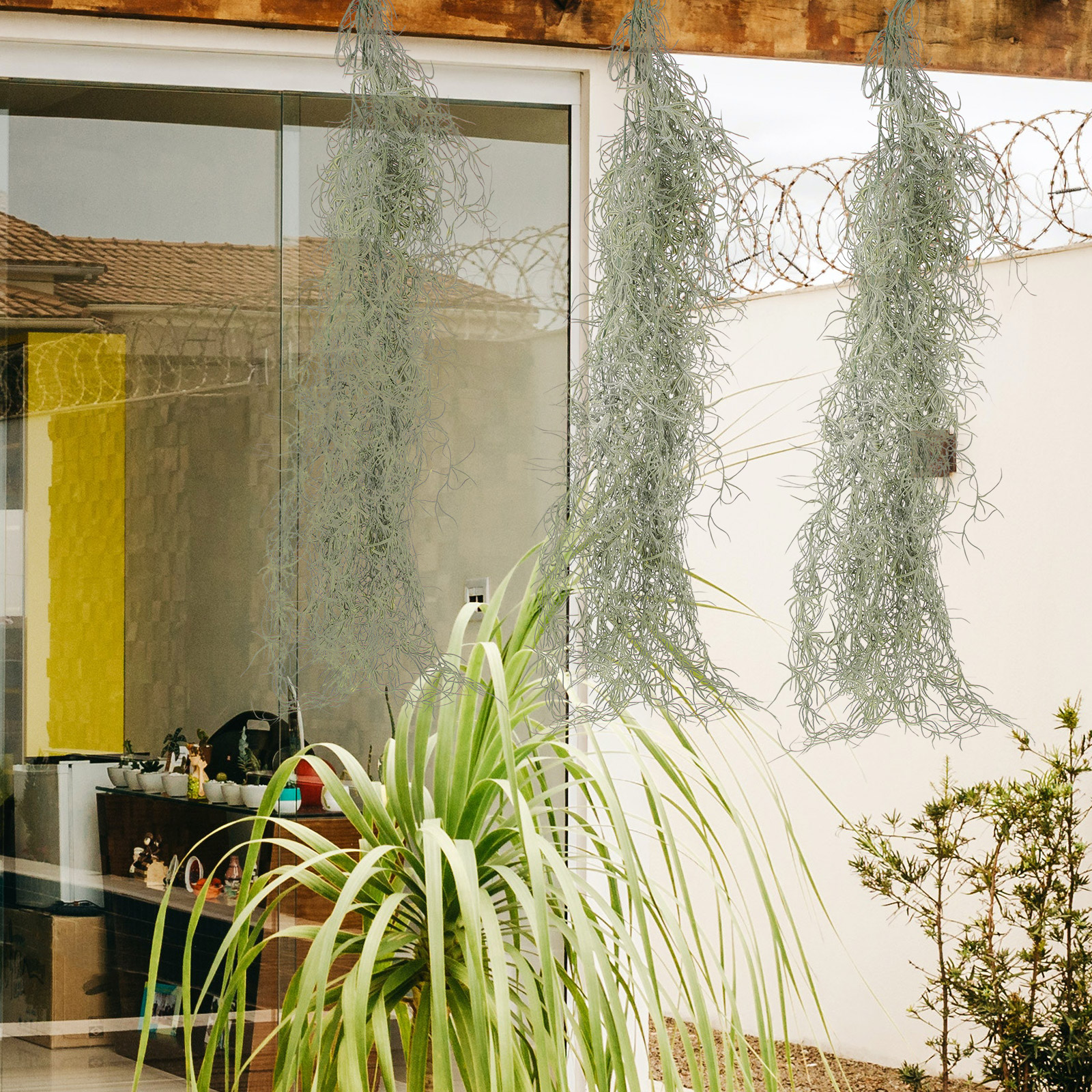 Hanging Moss Decor Artificial  - огляд і ціна Sphagnum Moss Dry