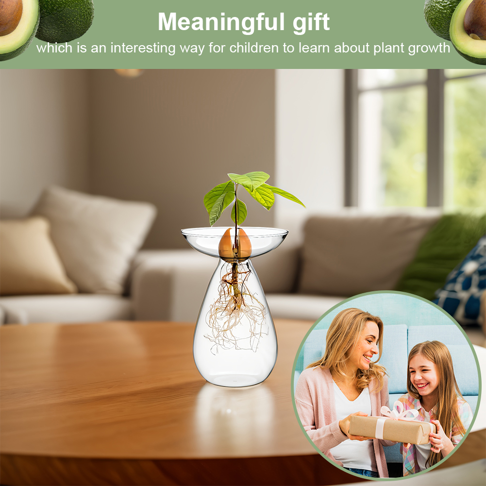 Avocado Seed Starter Vase Tran - огляд і ціна Propagation Station Vase