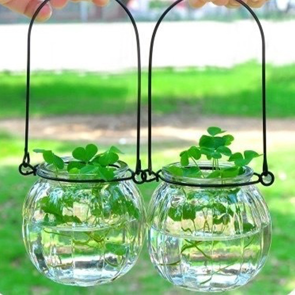 6Pcs Transparent Hanging Glass - огляд і ціна Propagation Station Vase