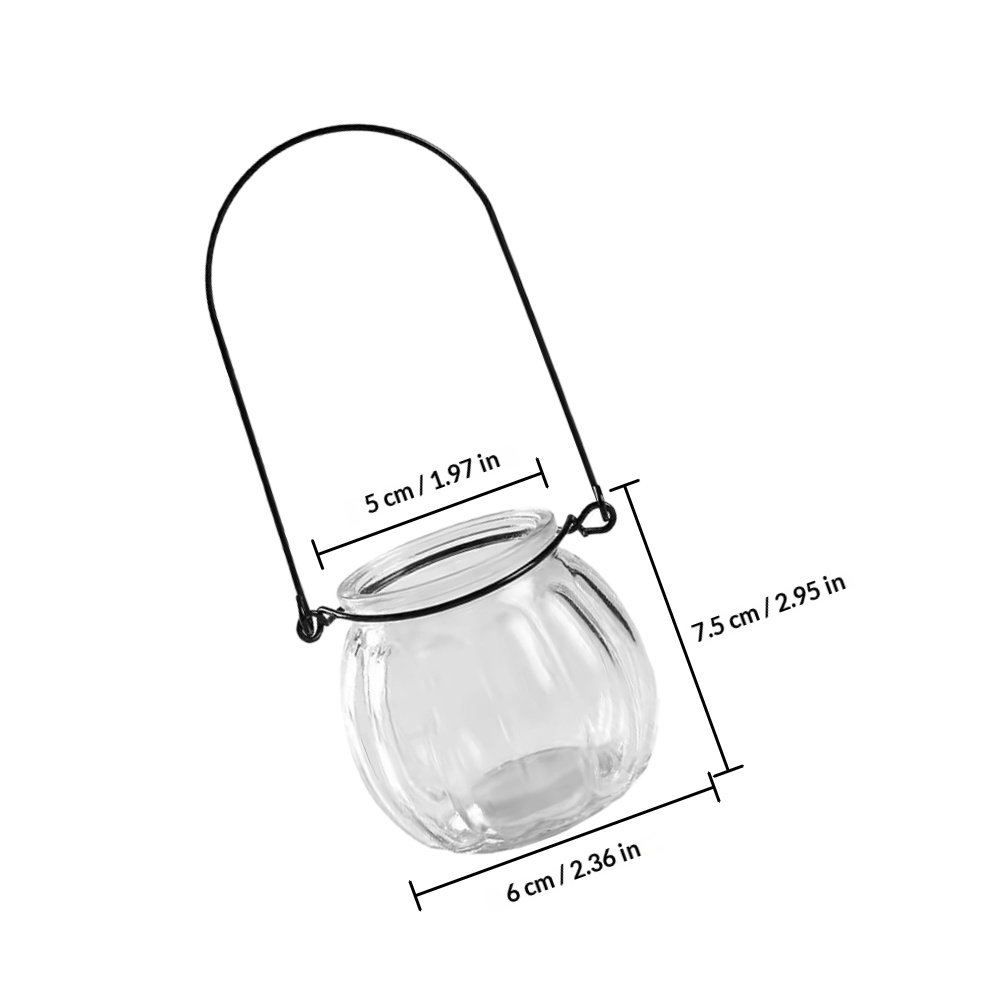 6Pcs Transparent Hanging Glass - огляд і ціна Propagation Station Vase