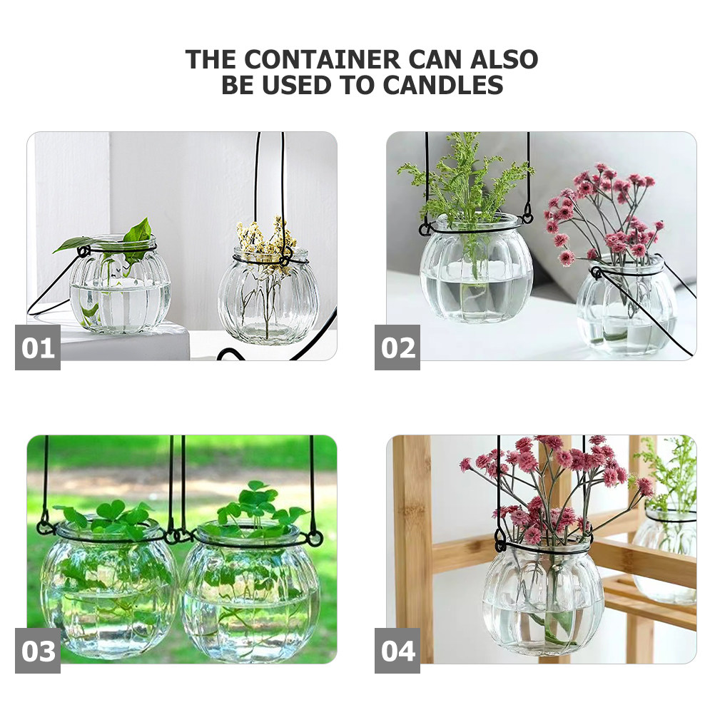 6Pcs Transparent Hanging Glass - огляд і ціна Propagation Station Vase