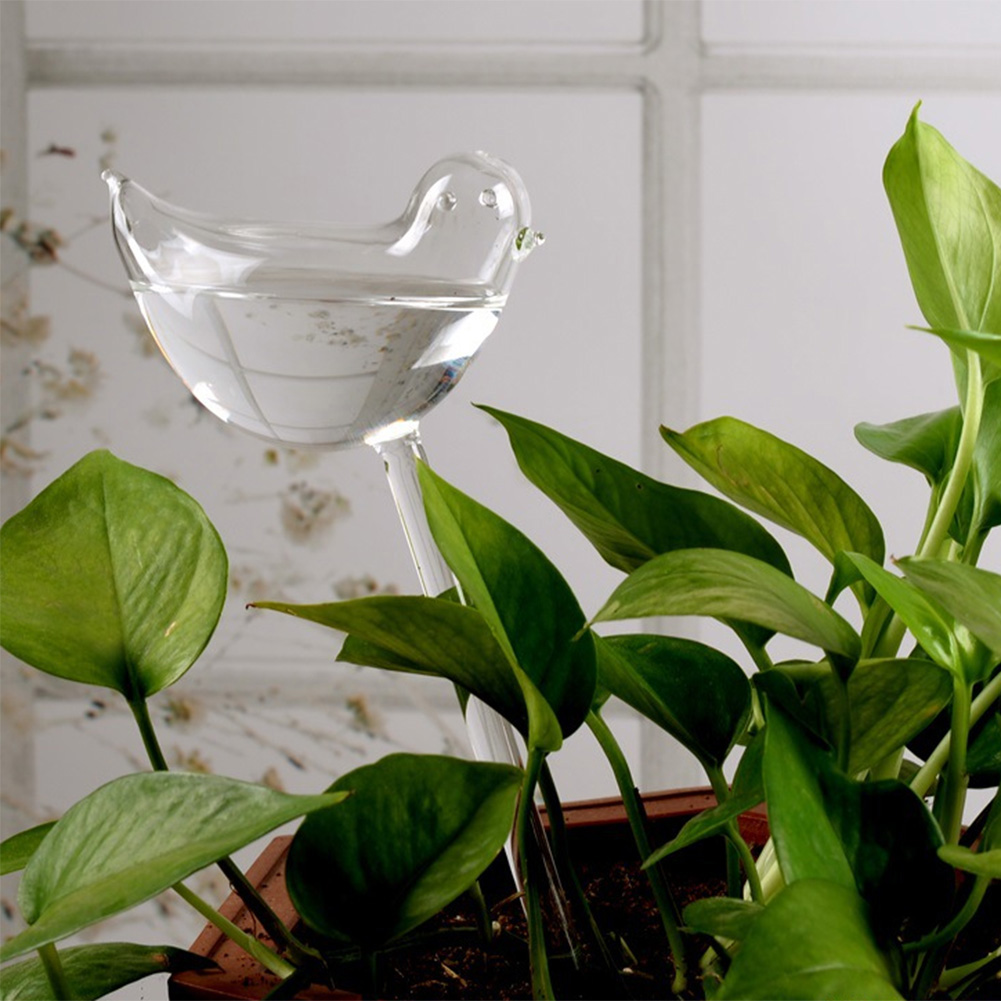 Automatic Plant Watering Bulbs - огляд і ціна Self Watering Insert