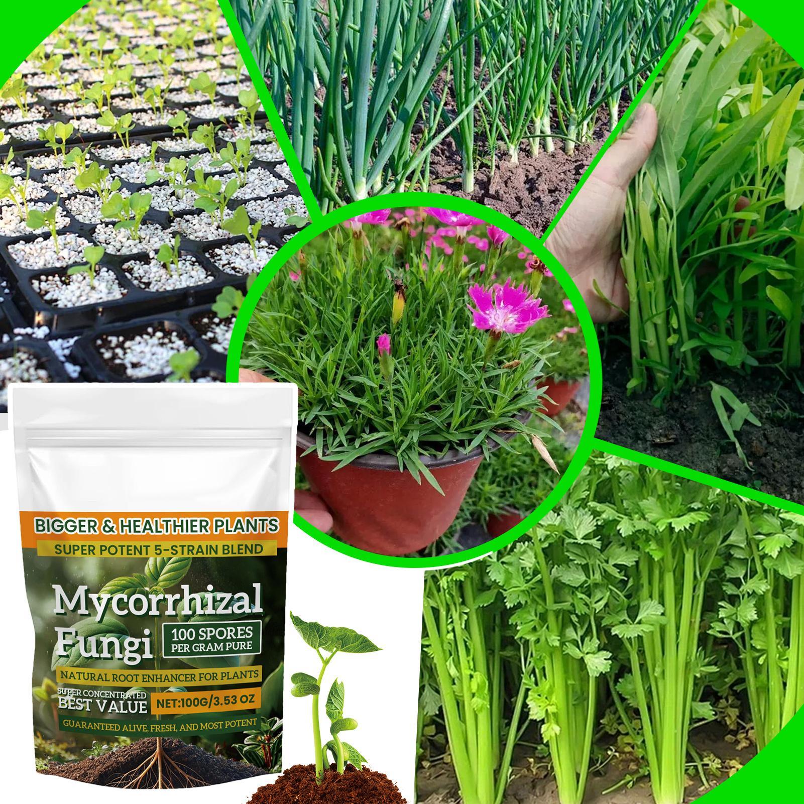 Plant Growth Enhancer Powder 1 - огляд і ціна Rooting Hormone Powder
