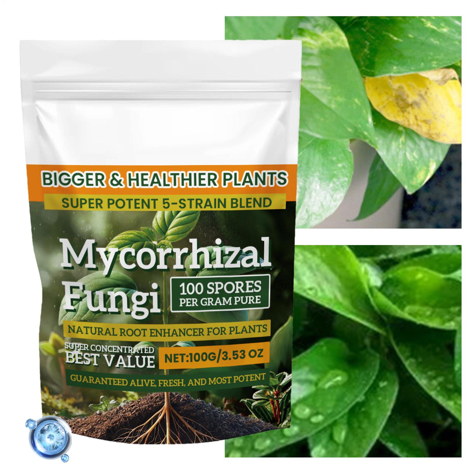 Plant Growth Enhancer Powder 1 - огляд і ціна Rooting Hormone Powder