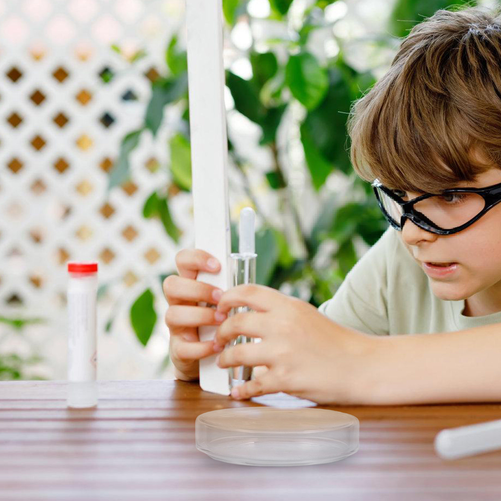 High Borosilicate Glass Petri  - огляд і ціна Agar Tissue Culture