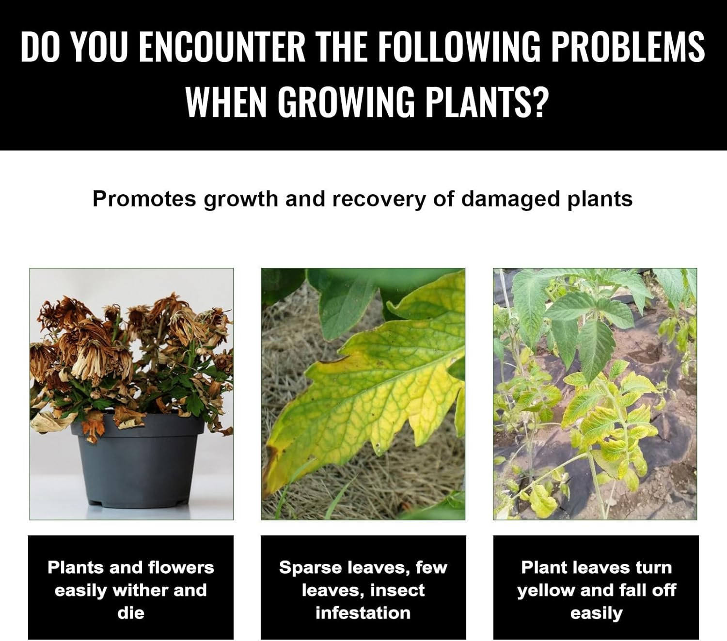 Liquid Plant Growth Enhancers  - огляд і ціна Root Stimulator Liquid