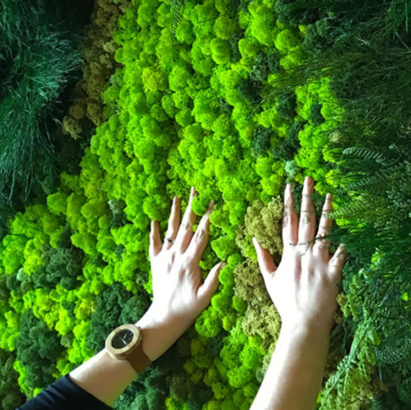 40/20g Artificial Moss Grass G - огляд і ціна Sphagnum Moss Dry